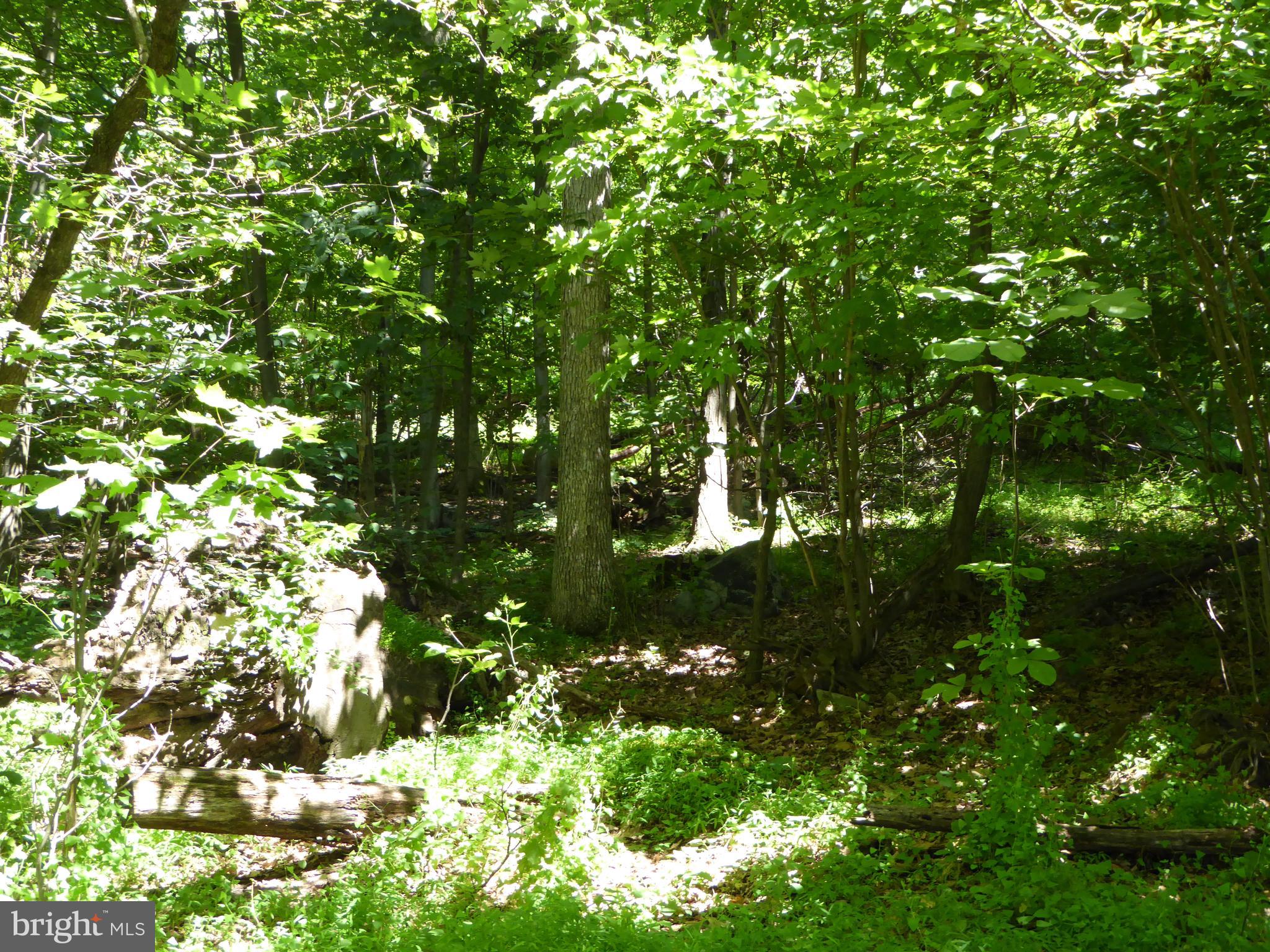 Lots #14 and #15 TRAIL LANE