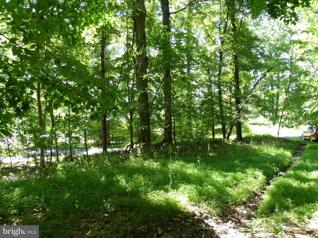 Lots #14 and #15 TRAIL LANE