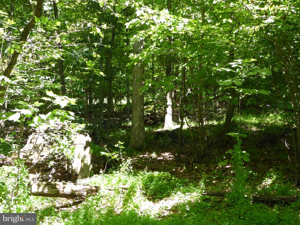 Lots #14 and #15 TRAIL LANE