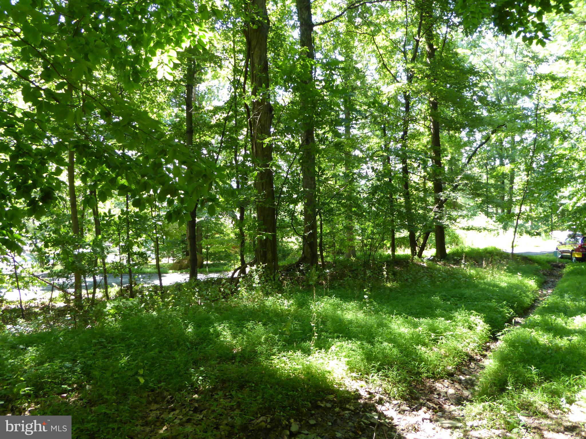 Lots #14 and #15 TRAIL LANE