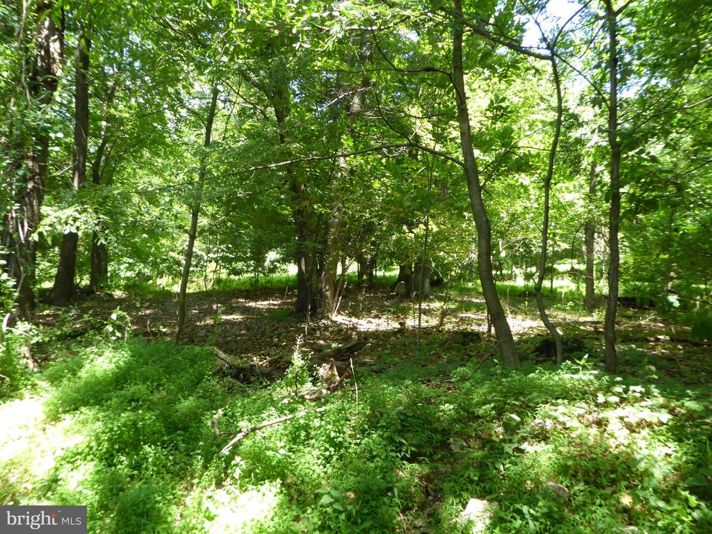 Lots #14 and #15 TRAIL LANE