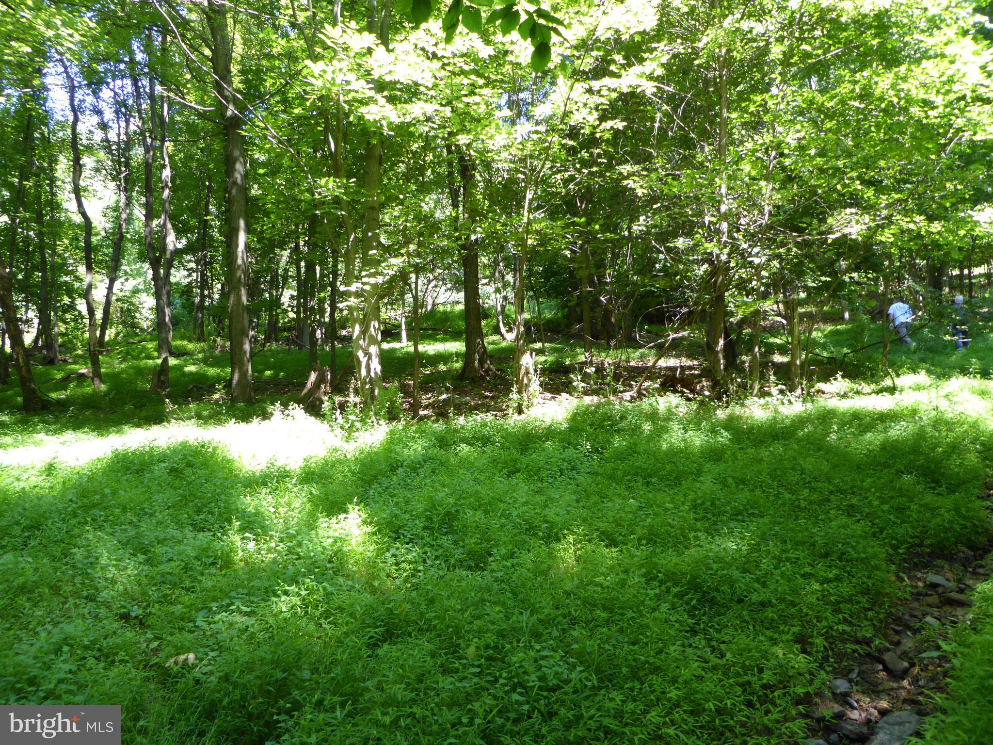 Lots #14 and #15 TRAIL LANE