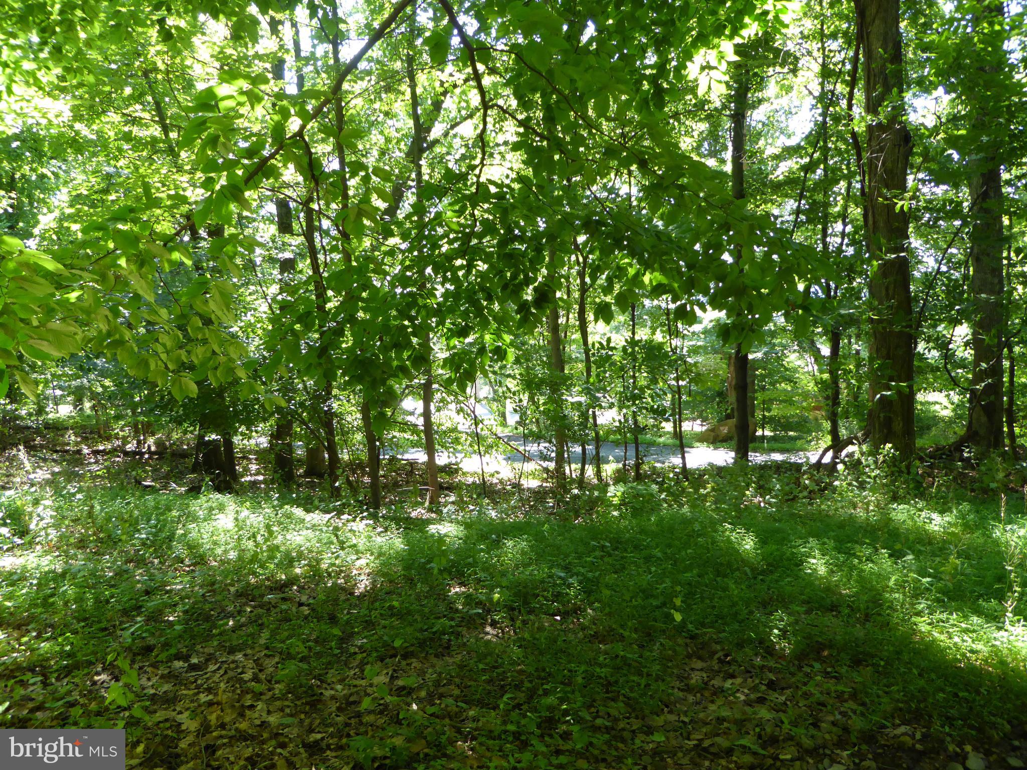 Lots #14 and #15 TRAIL LANE