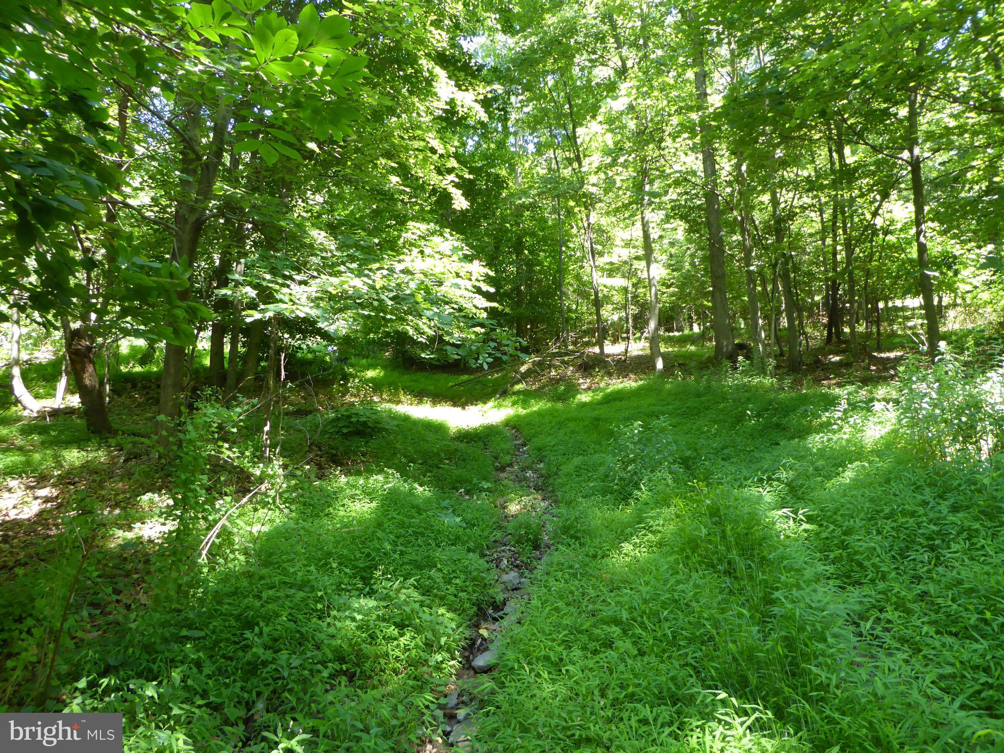 Lots #14 and #15 TRAIL LANE