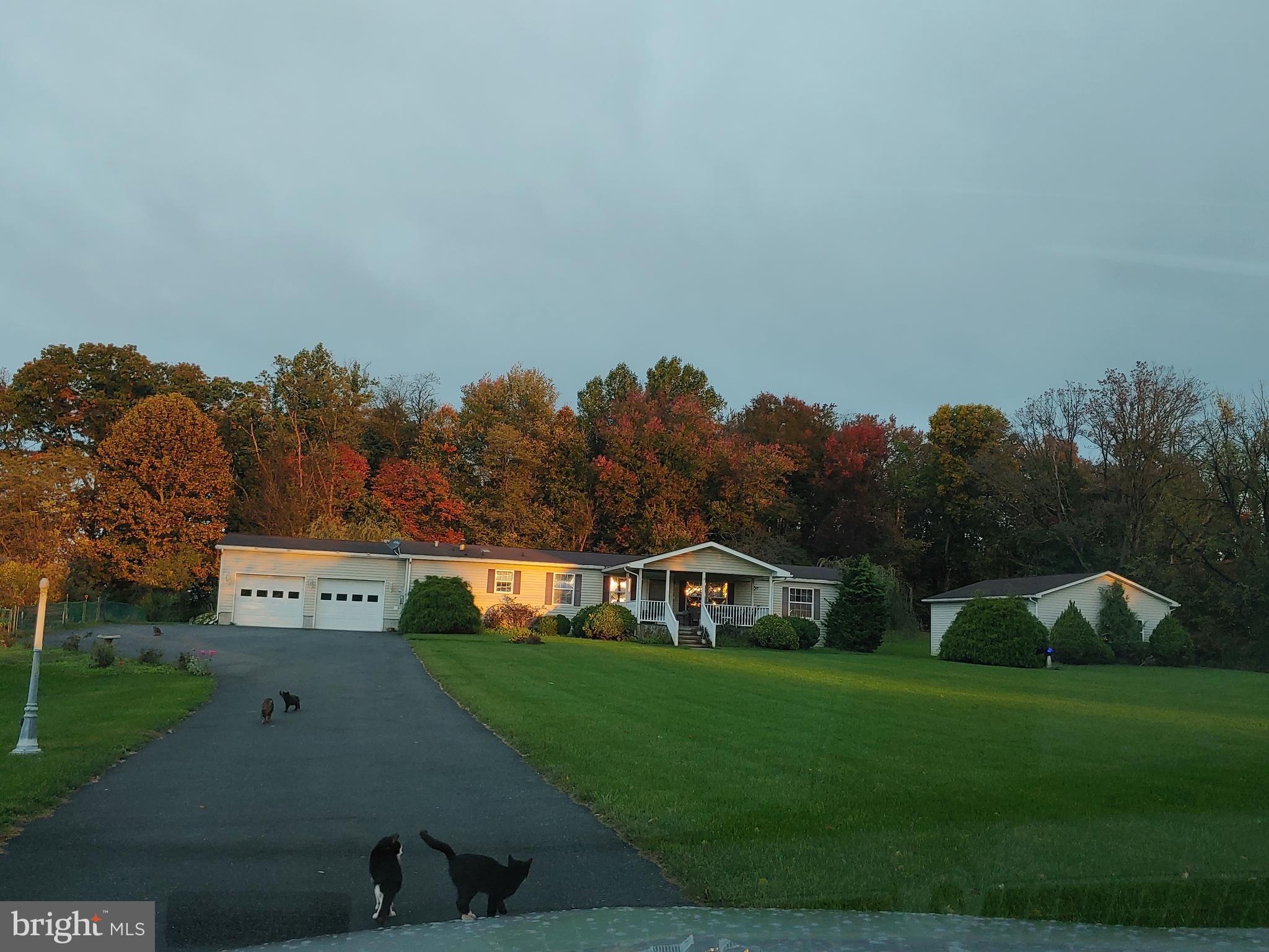 7119 SCHOOLHOUSE ROAD