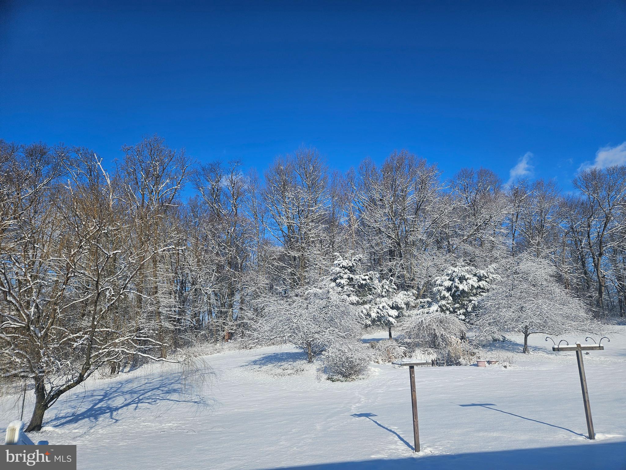 7119 SCHOOLHOUSE ROAD