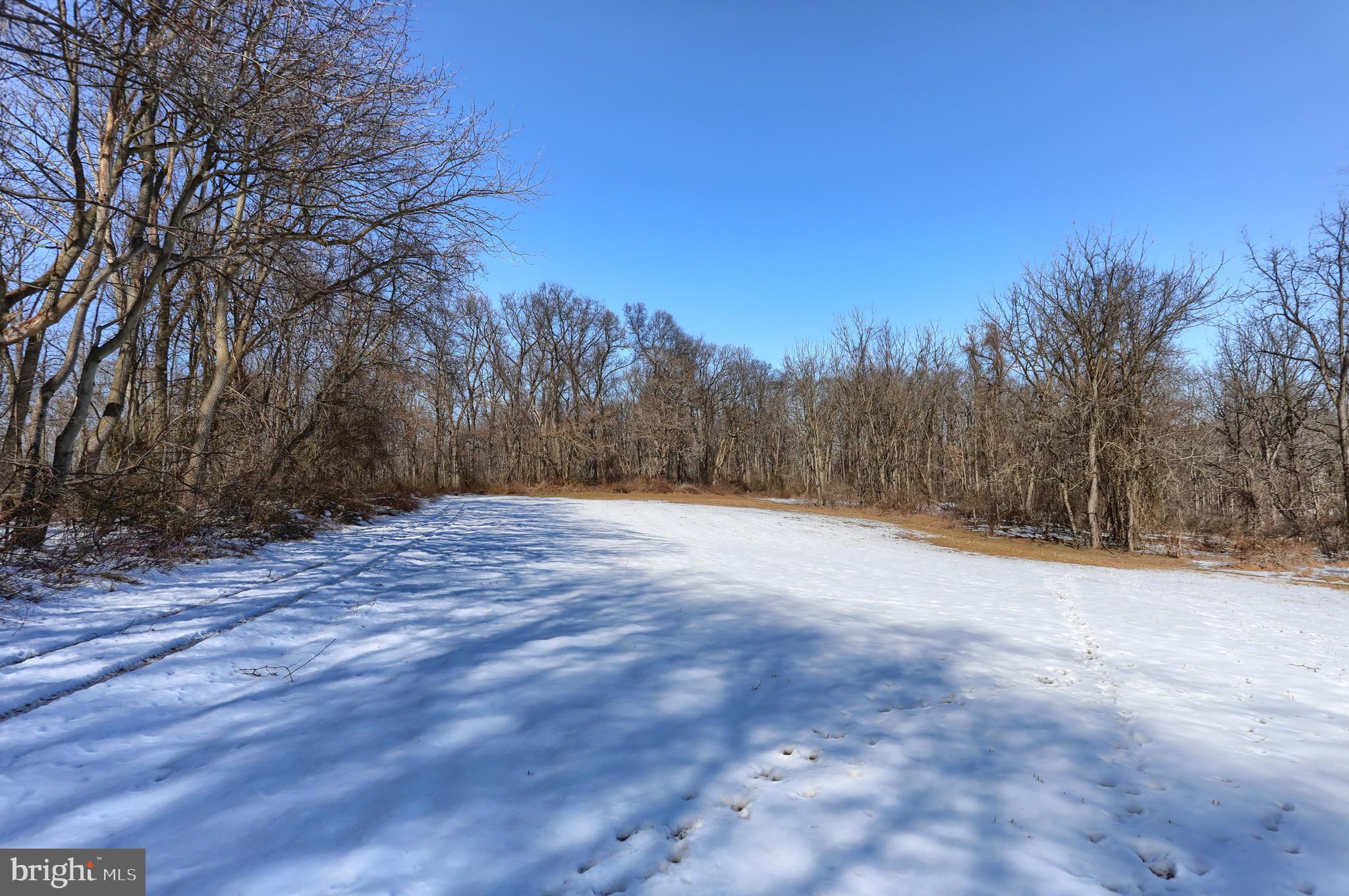 7119 SCHOOLHOUSE ROAD