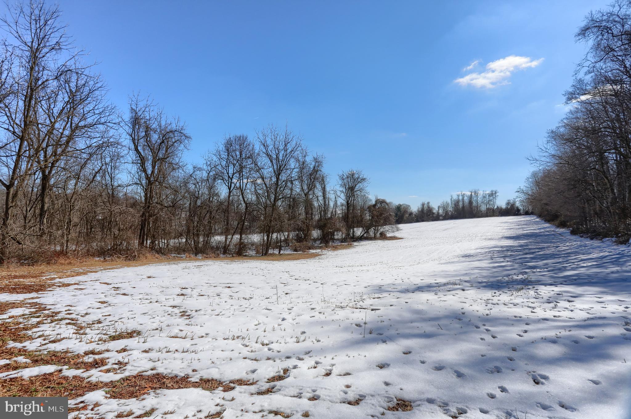 7119 SCHOOLHOUSE ROAD