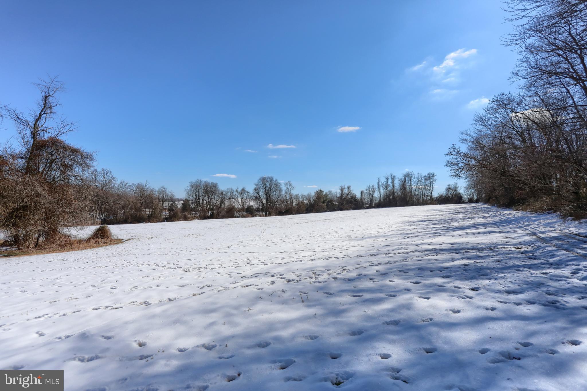 7119 SCHOOLHOUSE ROAD