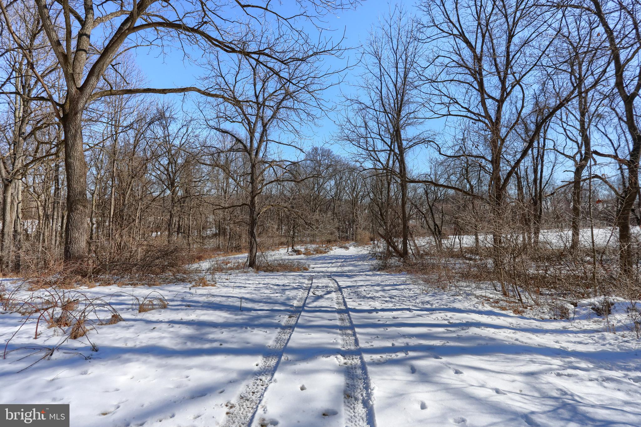 7119 SCHOOLHOUSE ROAD