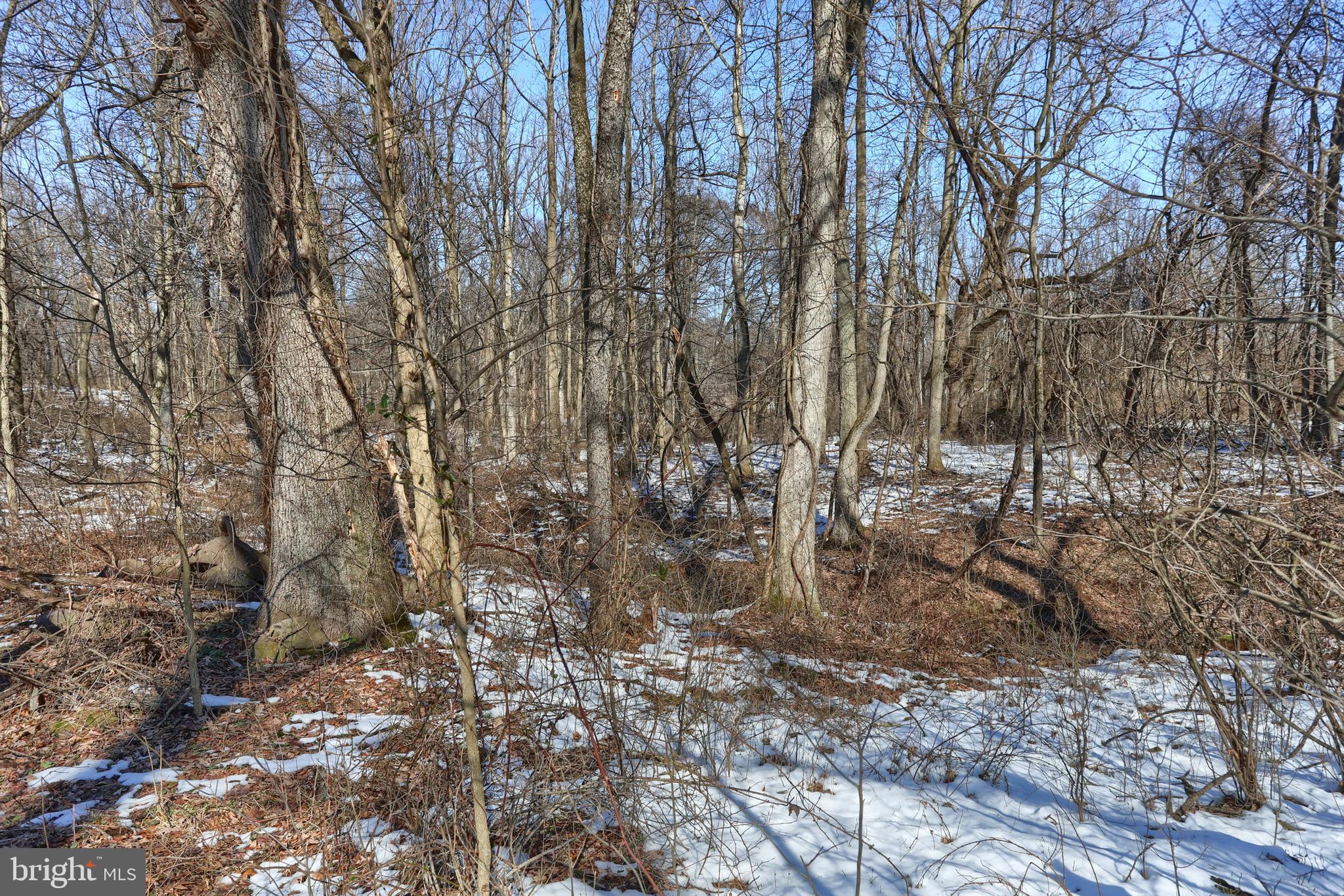 7119 SCHOOLHOUSE ROAD