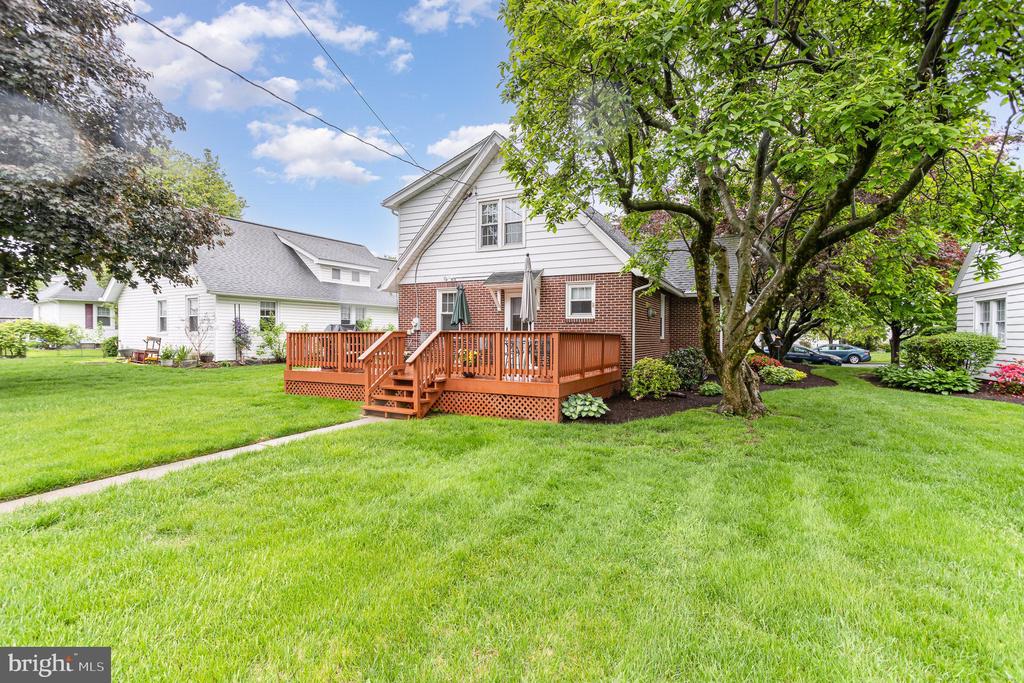29 MAPLE AVENUE