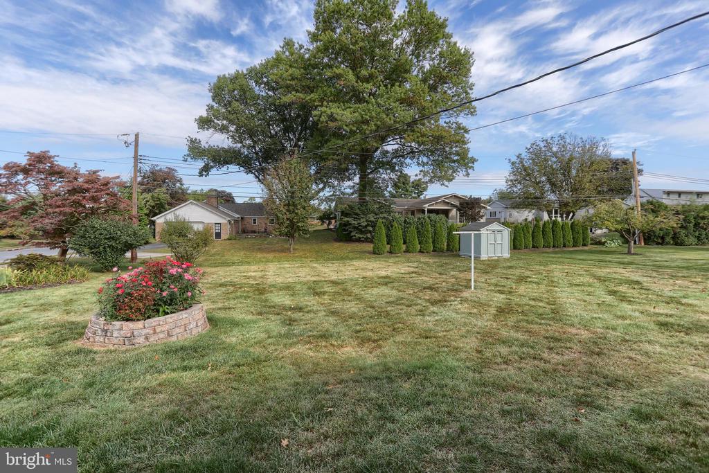 81 LOCUST AVENUE