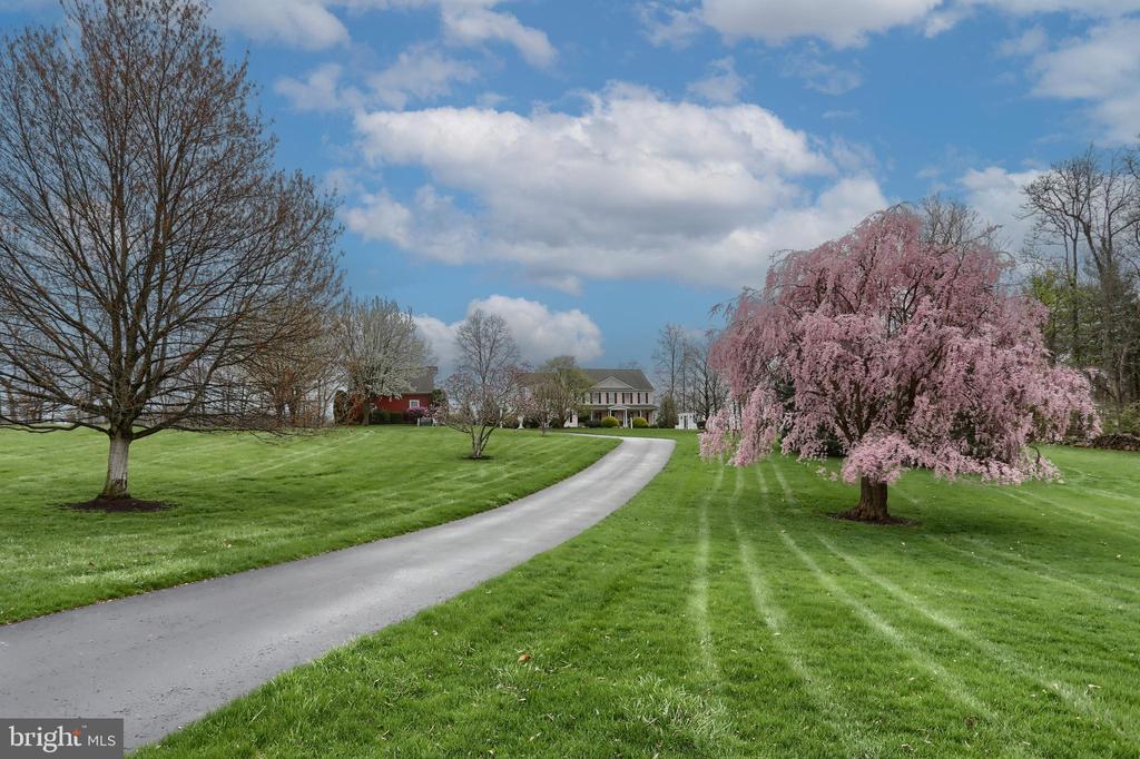 6516 SCHOOLHOUSE ROAD