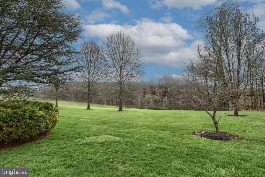 6516 SCHOOLHOUSE ROAD