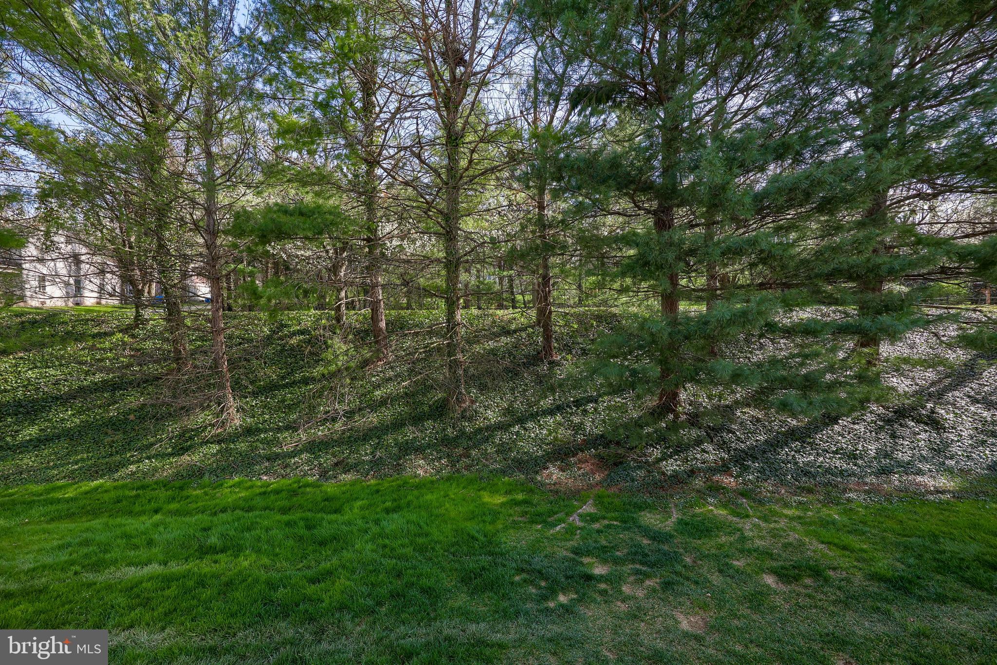 335 COBBLESTONE LANE