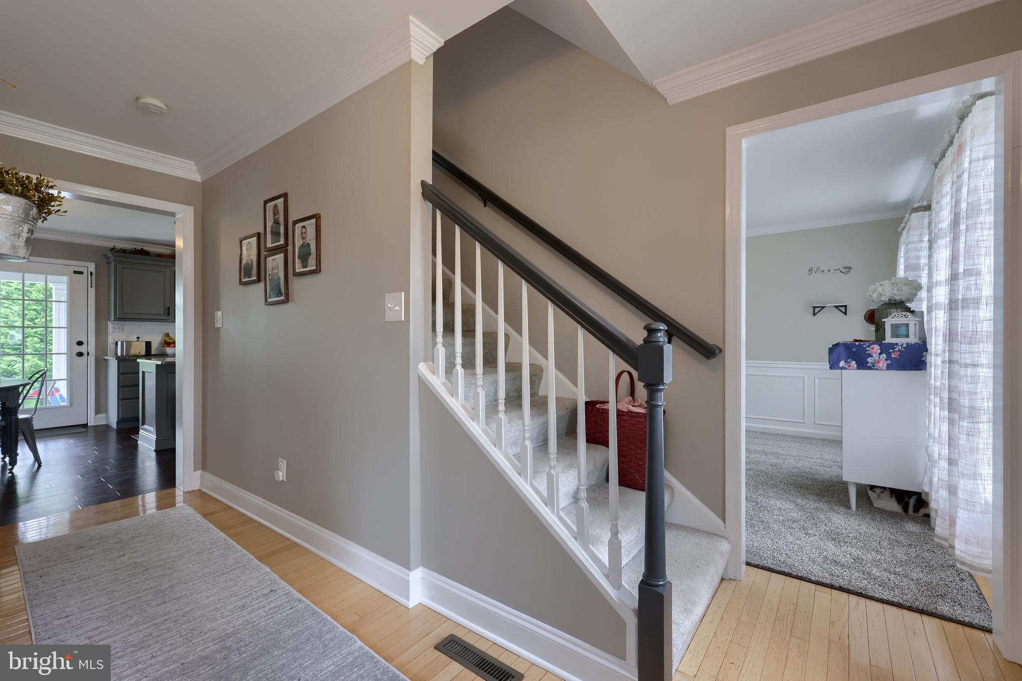 533 SPRING HOLLOW DRIVE