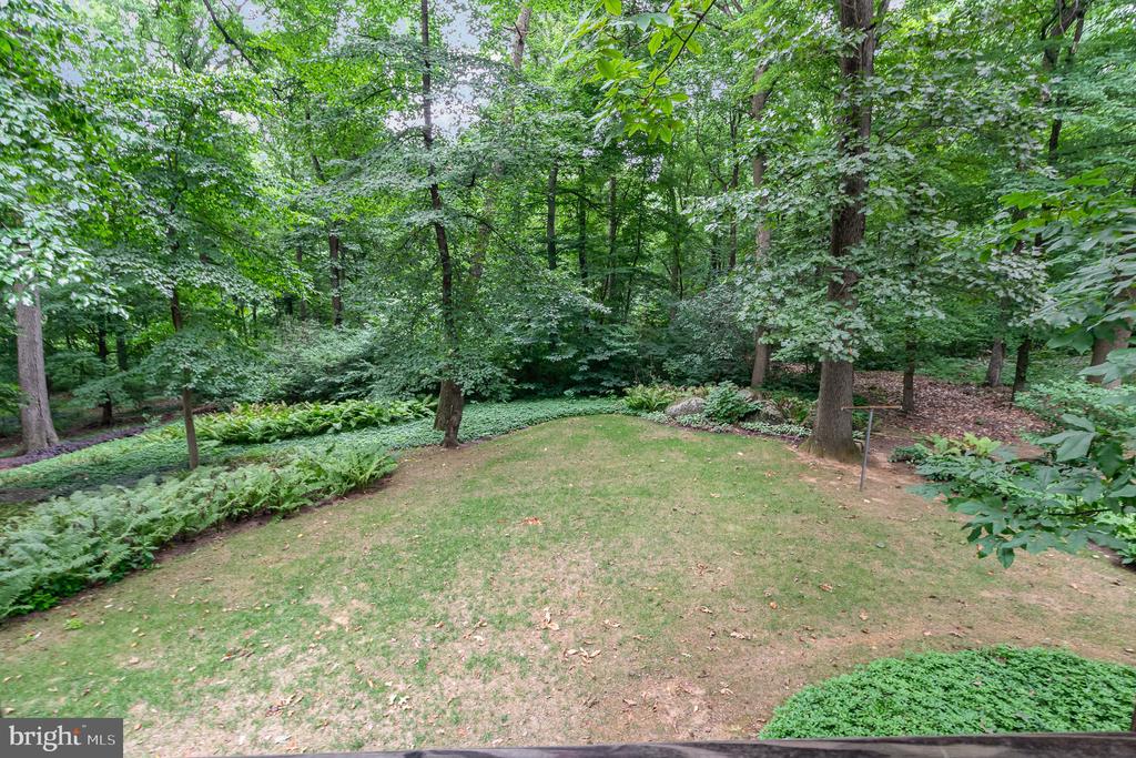 35 POPLAR LANE