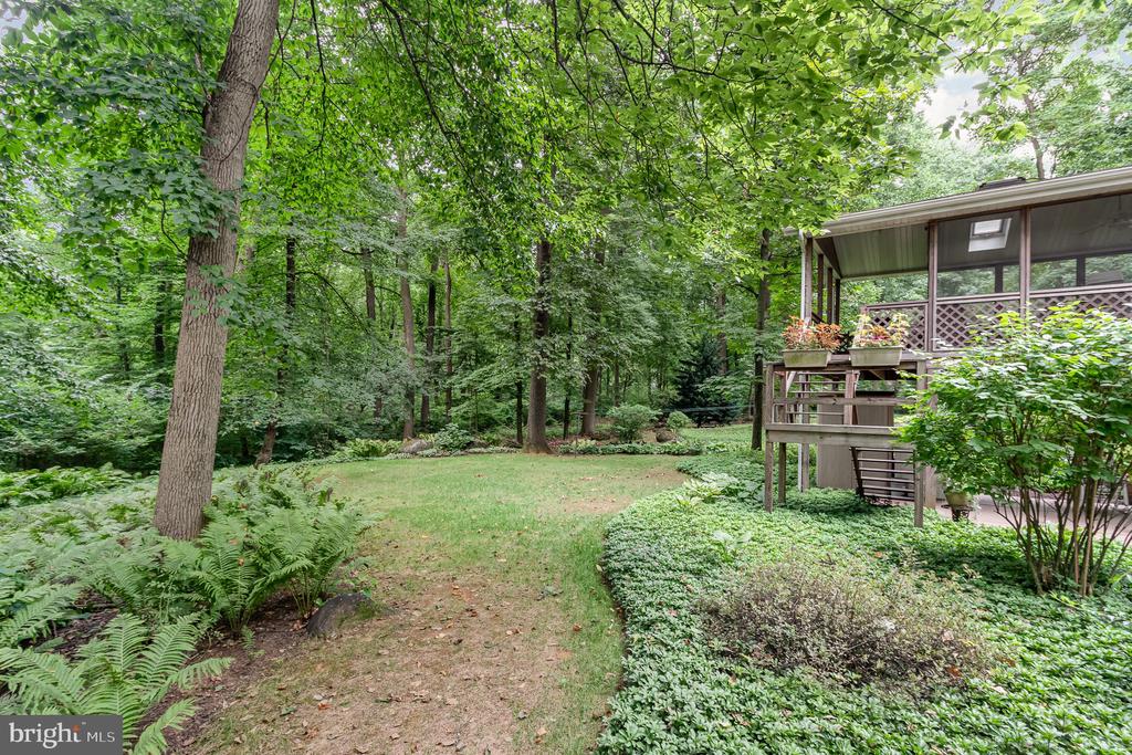 35 POPLAR LANE