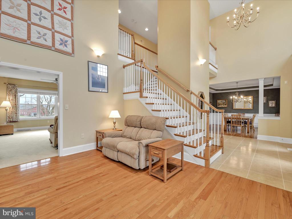 1238 CAMERON DRIVE