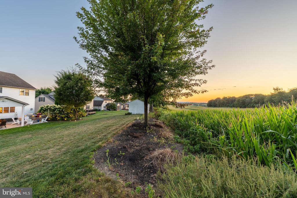 25 OLDE FORGE DRIVE