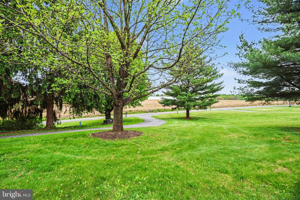 1346 BAIR ROAD