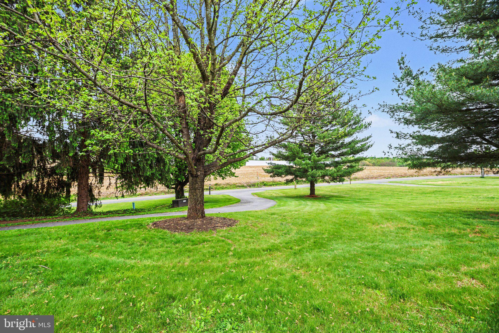 1346 BAIR ROAD
