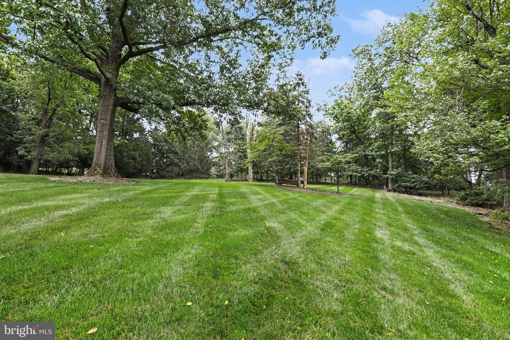 390 MILLER RD