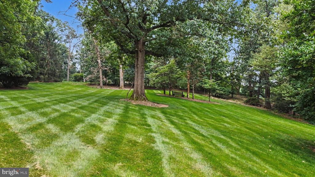 390 MILLER RD
