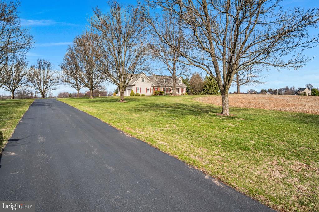 173 LAWN ROAD