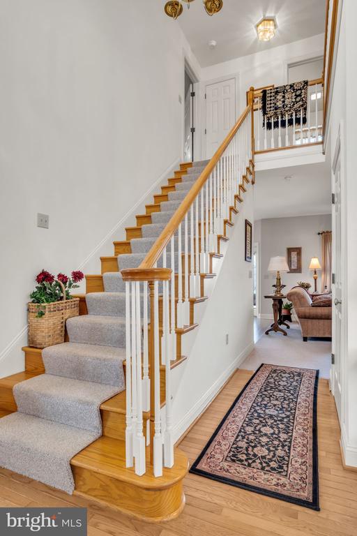 173 LAWN ROAD
