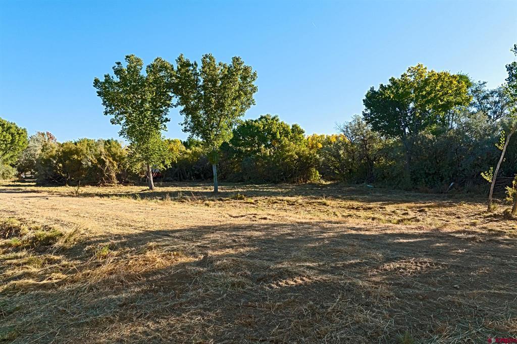 TBD County Road 2473