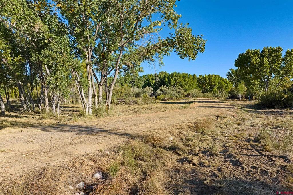 TBD County Road 2473