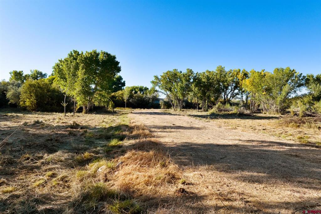TBD County Road 2473