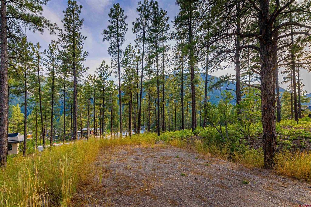 20 Sego Lily Court
