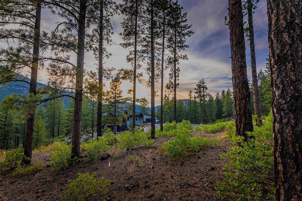 20 Sego Lily Court
