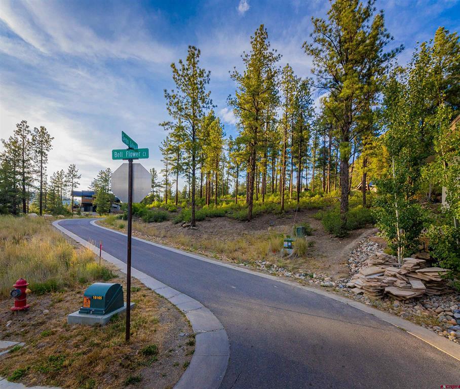 20 Sego Lily Court