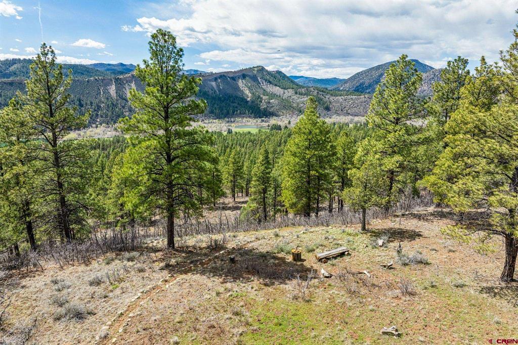 20861 Hwy 160
