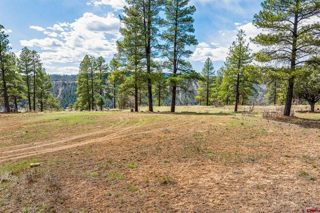 20861 Hwy 160