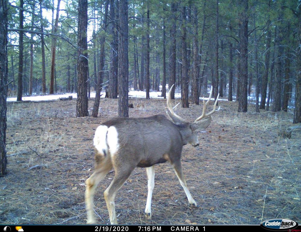 20861 Hwy 160