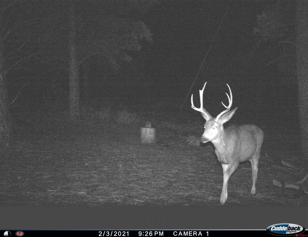 20861 Hwy 160