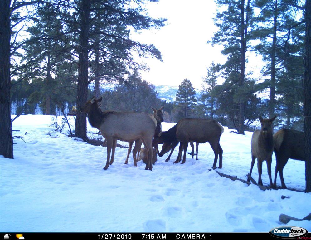 20861 Hwy 160