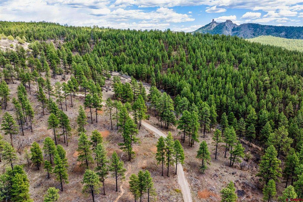 20861 Hwy 160