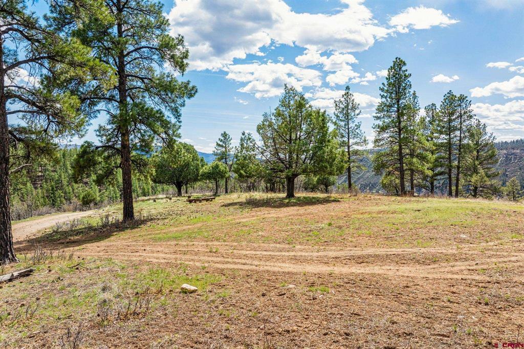 20861 Hwy 160