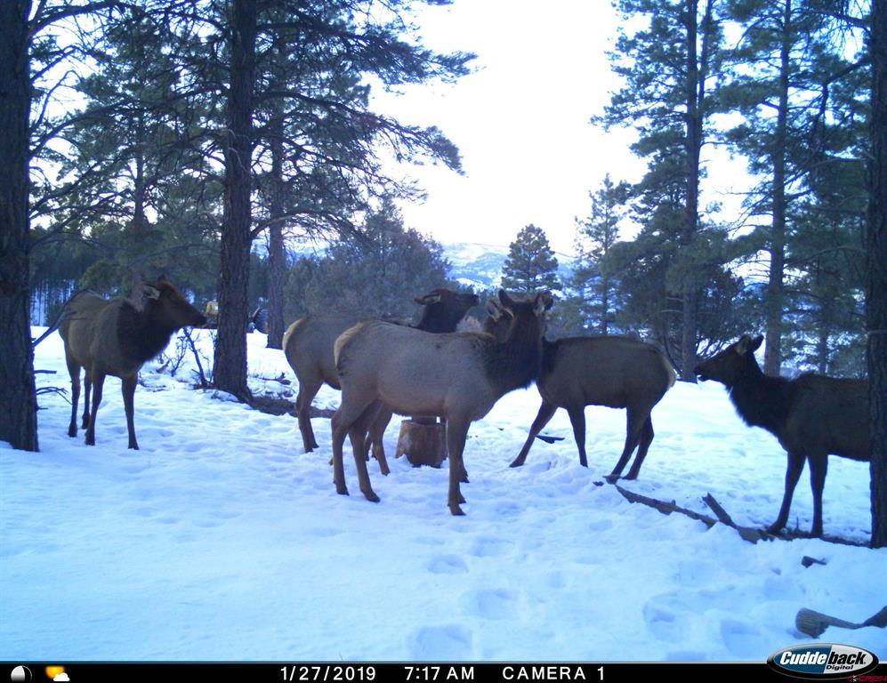 20861 Hwy 160
