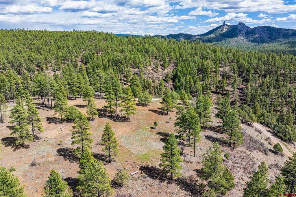 20861 Hwy 160
