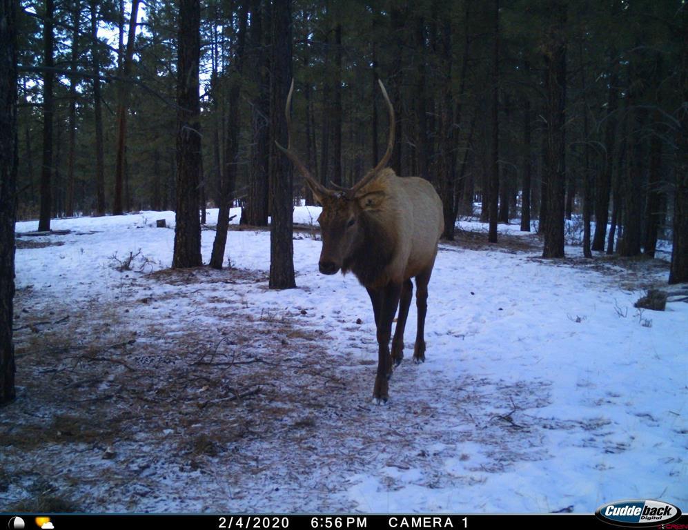 20861 Hwy 160