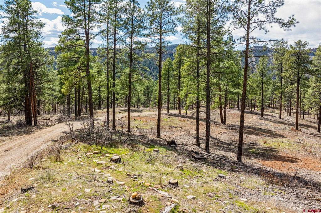 20861 Hwy 160