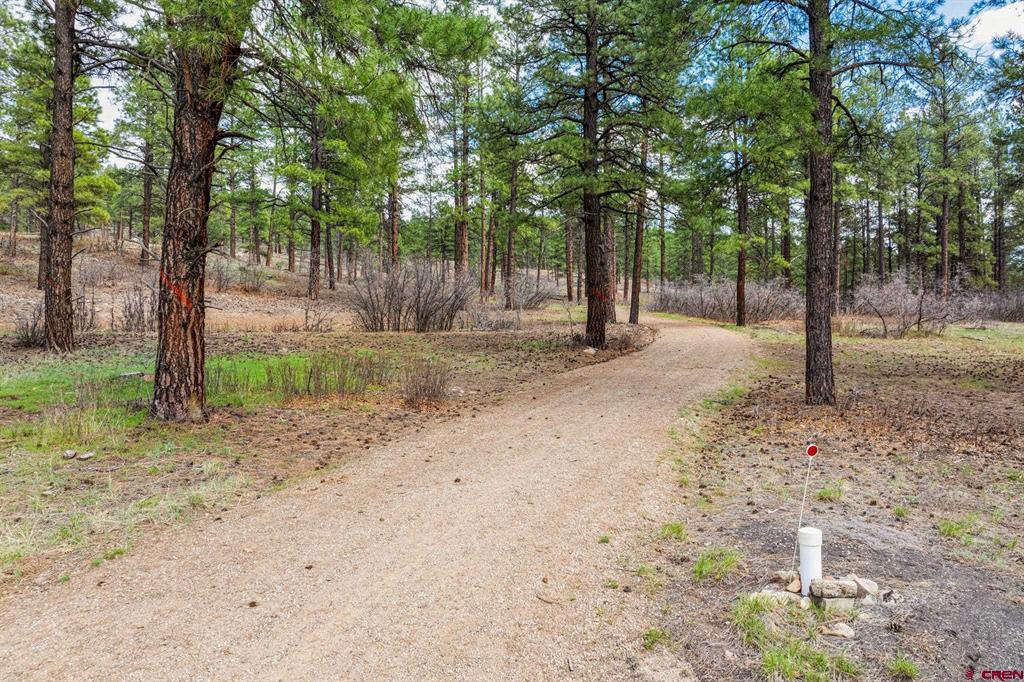 20861 Hwy 160