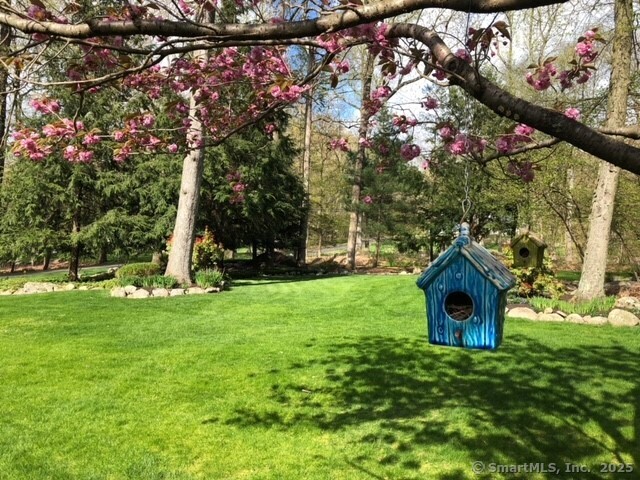 177 Linden Tree Road